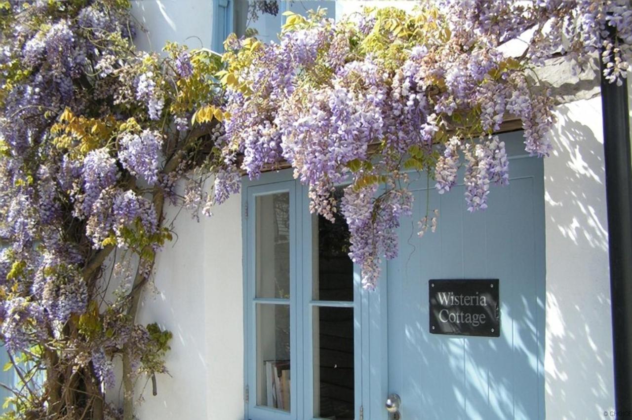 Croyde Wisteria Cottage 4 Bedrooms Zewnętrze zdjęcie